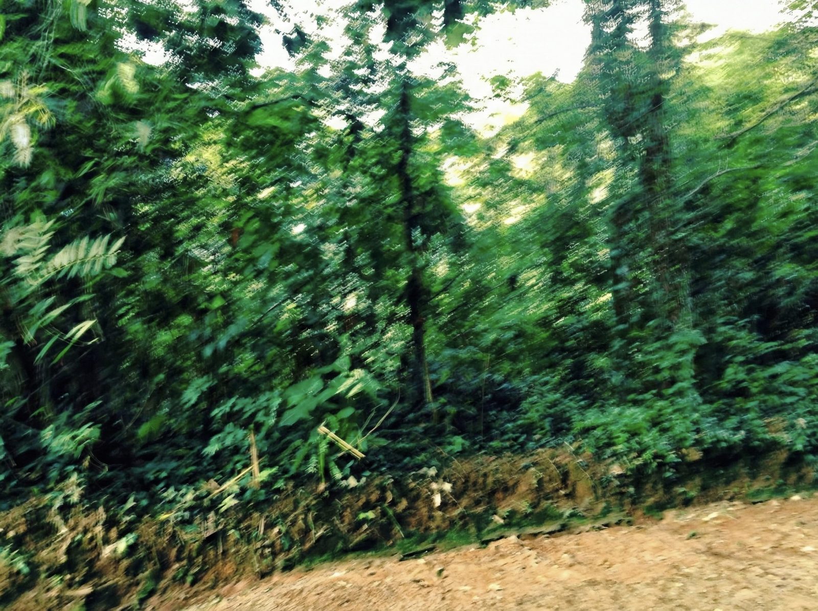 Vista do terreno